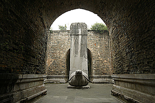 soi câu bạch kim