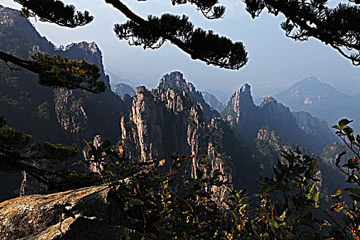 lô bạch thủ hôm nay miễn phí