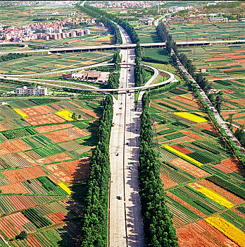 xsmb rong bạch kim