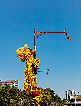 soi cau rong vang