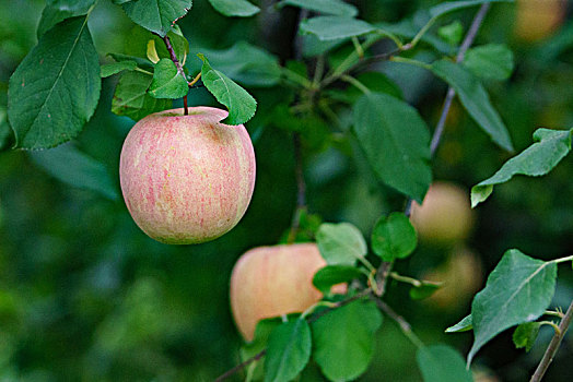 dự đoán hôm nay