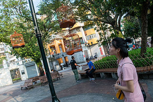 soi cầu me