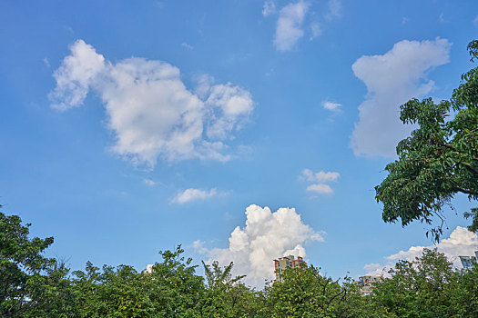 bạch thủ đề chuẩn