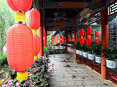 bạch thủ đề