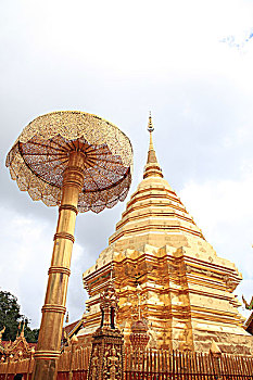 bạch thủ lô đề hôm nay