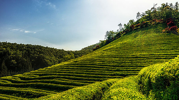 xổ số dự đoán