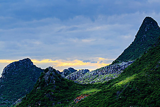 bạch thủ lô chuẩn