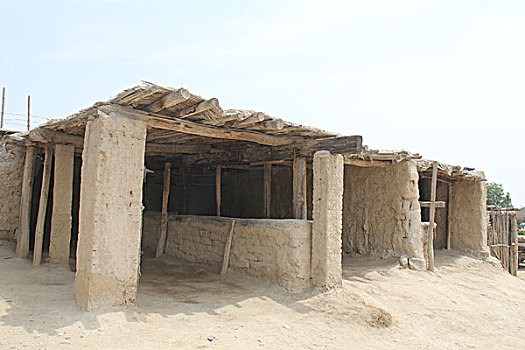 du doan cau lo