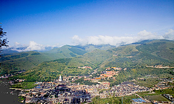 cau 2888