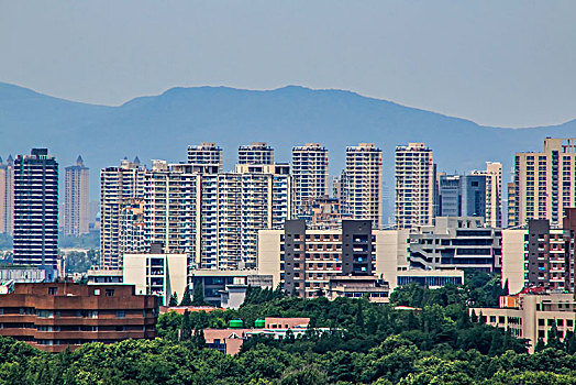 soi cau de
