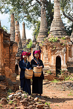 soi cau chuan mb