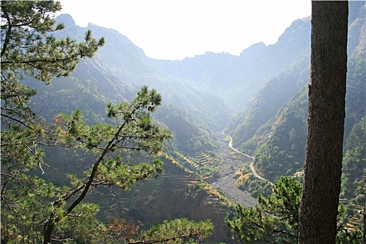 dự đoán minh ngọc