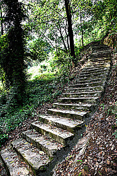 soi cầu chốt số