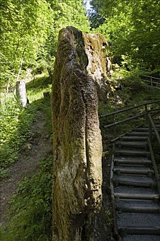 du doan xshcm