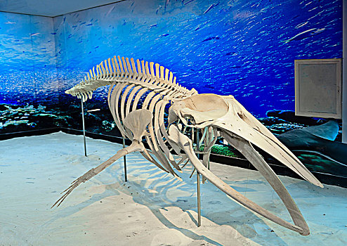 xs điện toán