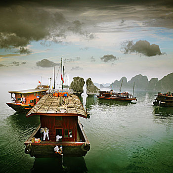 bạch thủ lô tô