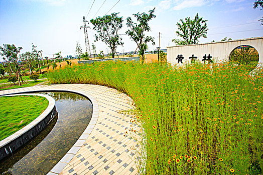 soi cầu kép