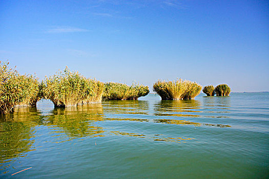 vua bắn cá
