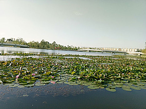 quay thử miền nam hôm nay