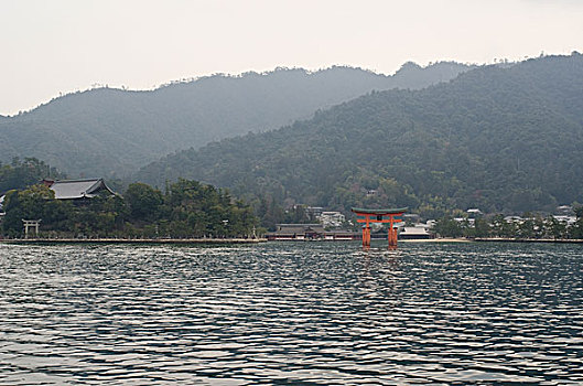 366 soi cau