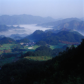 bạch thủ đề ngày mai