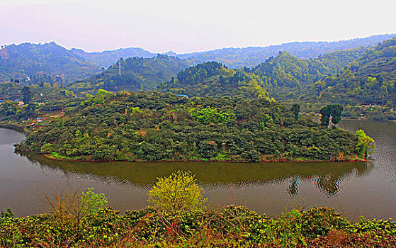 đề ăn 99
