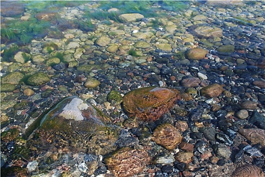trang đánh số đề uy tín