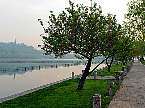 hoi lo de chuan