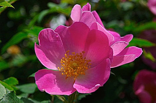 tìm hiểu về lô đề