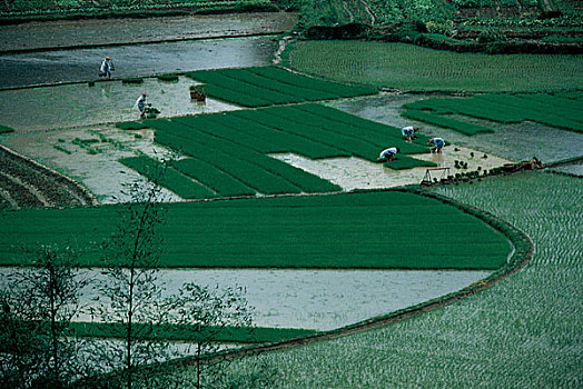 quả xổ số tiền giang