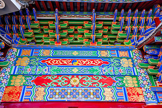 cho tốt gà đá quận 8