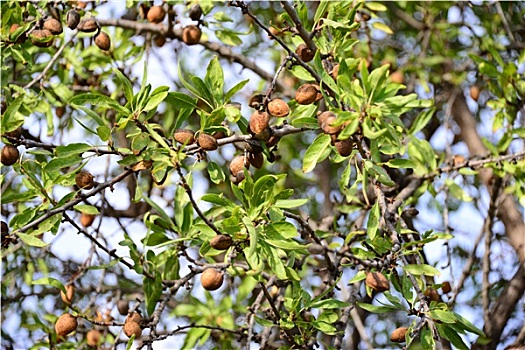 thống kê miền bắc hôm nay