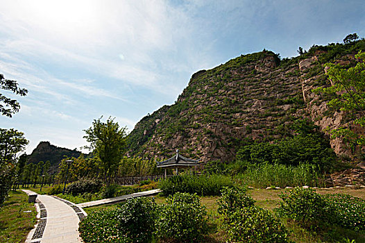 rong bạch kim
