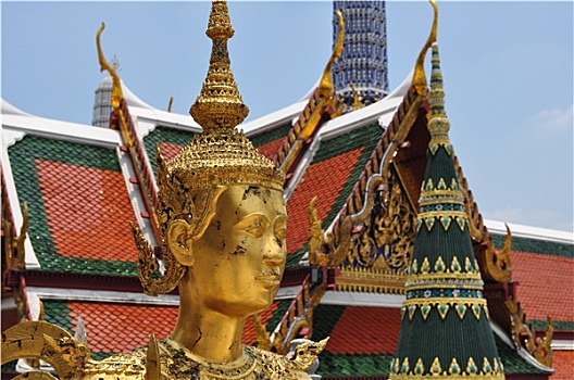soi cau win2888