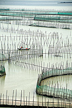 soi cầu lộc phát miền bắc