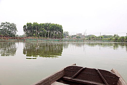 soi cầu bạch thủ 247