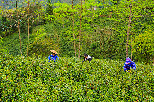 xổ số kiến thiết bến tre