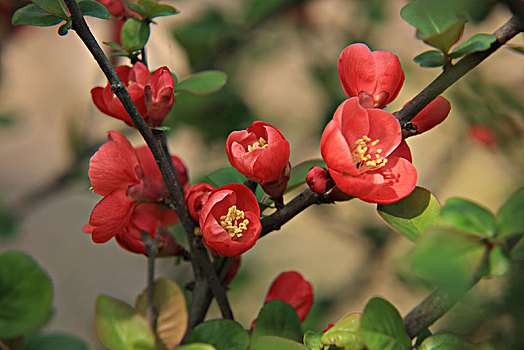 soi cầu xổ số bình định