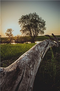 hướng dẫn chơi lô xiên