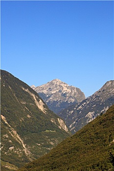 kqxs rong bach kim