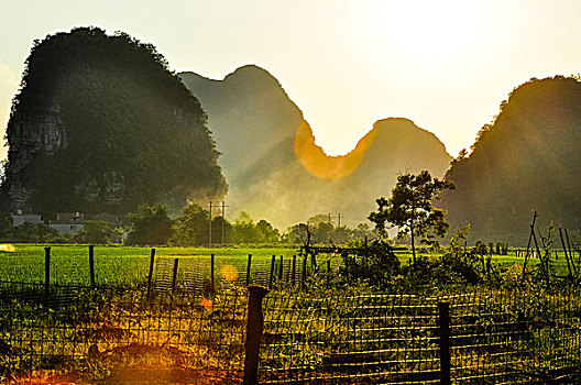 soi câu bach kim