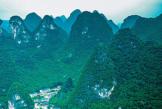 bach thu mien bac