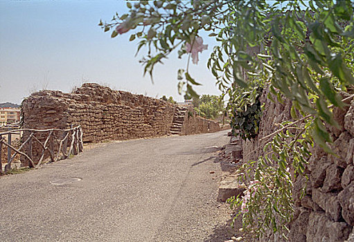 bạch thủ lô đề hôm nay