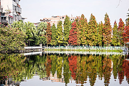 xổ so mien bac