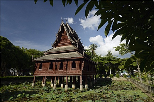 soi cau tai loc