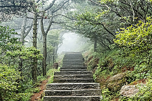 vua đại dương