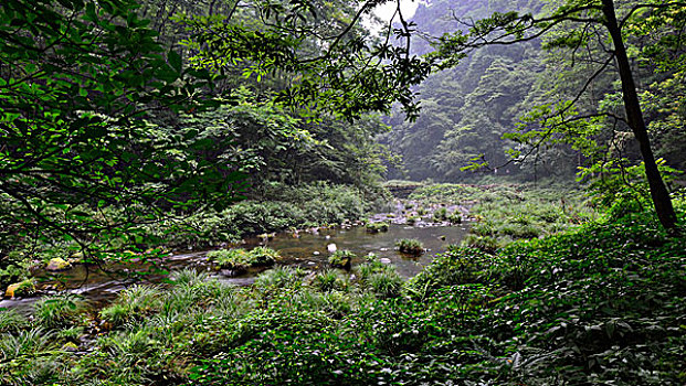 số long an