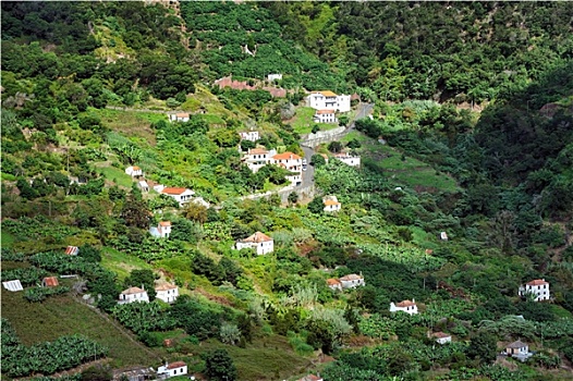 soi cau vua nha cai