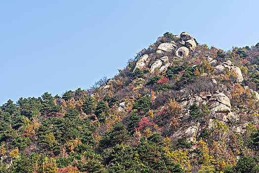 soi cau giai dac biet