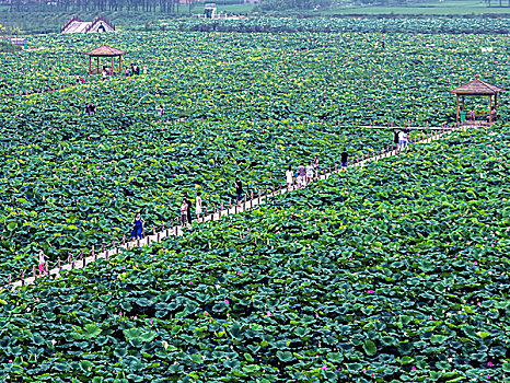 du doan xs tay ninh